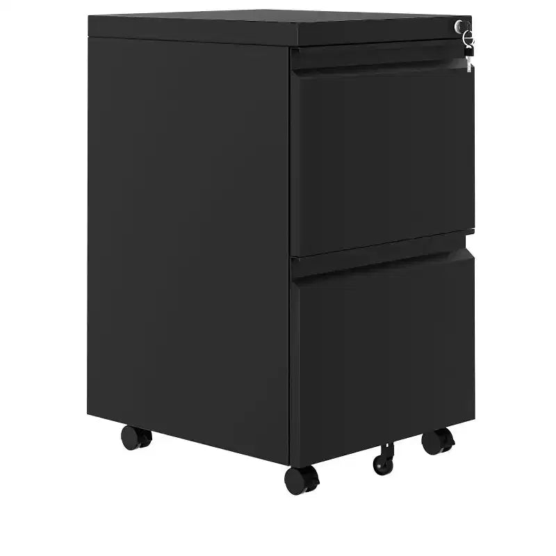 COZONY 2-Drawer Mobile File Cabinet, Lockable Lateral Storage with Wheels for Office and Home